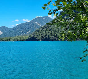 Plansee