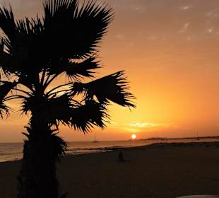 Sonnenuntergang bei uns vor dem Tauchcenter