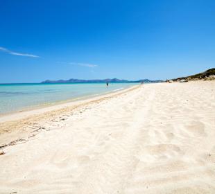 Alcudia Beach