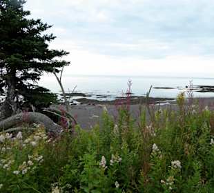 Bay of Fundy, New Brunswick, Kanada