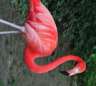 Rundgang im Tierpark