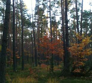 Kampinoski Park Narodowy