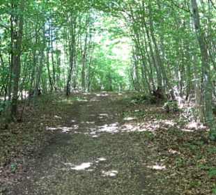 Naturerlebnispfad Sternberg