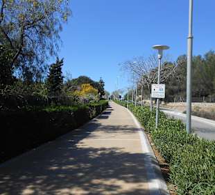 Da macht radeln Spaß