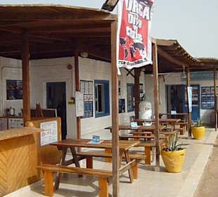 ORCA Dive Club El Gouna