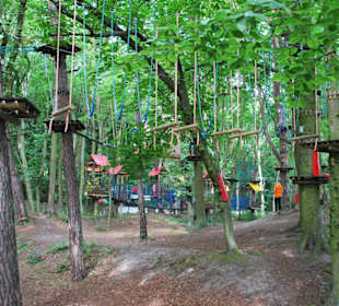 Park Linowy Bluszcz