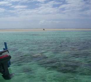 Ausflug Glasbodenboot Diani Beach