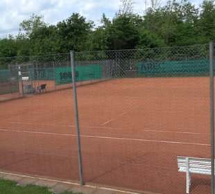Tennisanlage Genkingen