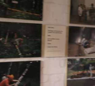 Spicy's Gewürzmuseum