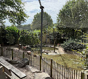 Irrland Bauernhof-Erlebnisoase