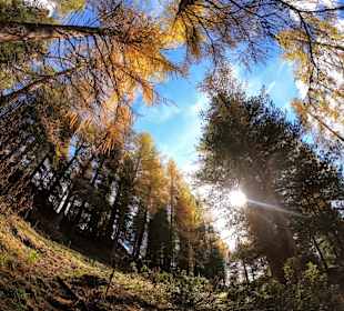 Wandern St. Michael im Lungau
