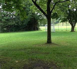 Blühendes Neresheim 2021