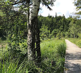 Wandern Inzell