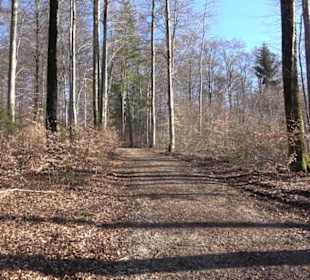 Naturerlebnispfad Meidelstetten