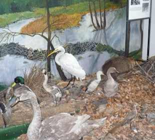 Muzeum na Świętym Krzyżu