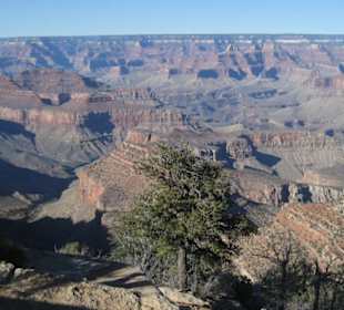Grand Canyon - Ausblick South Rim