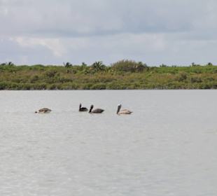 Nationalpark Sian Ka'an