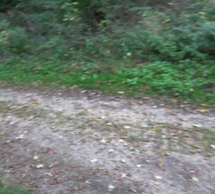 Der Bussen - heiliger Berg Oberschwabens Offingen