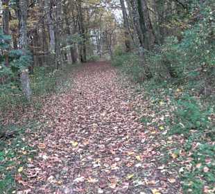 Wandern um die Rauber Ruine