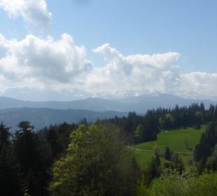Ausblick zwischen Bergstation zur Pfänderspitze