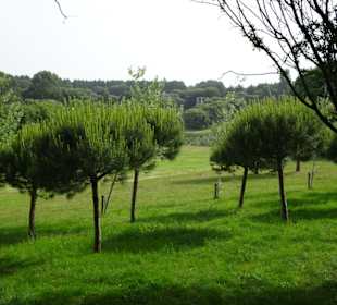 Spaziergang durch den Parque da Cicade