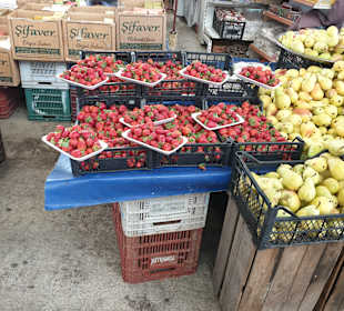 Markt