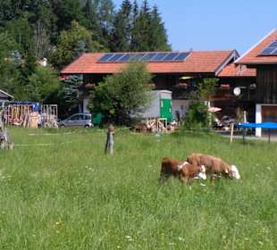 Wandern Kreuth
