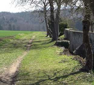 Schloss Einsiedel