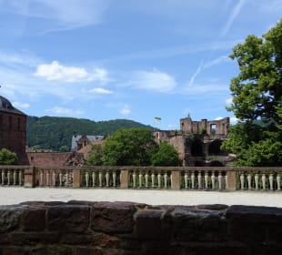 Schloss Heidelberg und Park