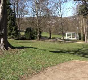 Premiumwanderweg "hochgeblickt"