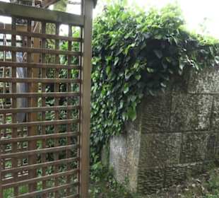 Benediktinerkloster Lorch