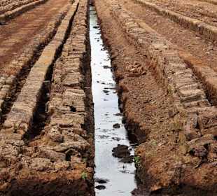 Torfstich im Goldenstedter Moor