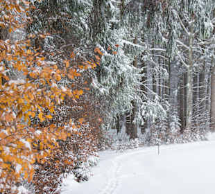 Wandern Oberstaufen