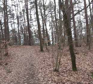 Unterjesinger Wengertwegle