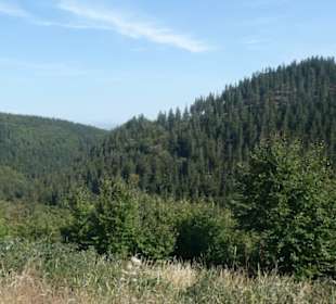 Unterwegs im Thüringer Wald bei Friedrichroda