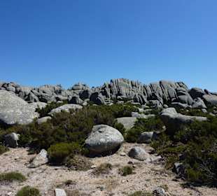 Oben auf dem Monte Limbara