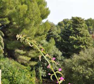 Parc du Mugel