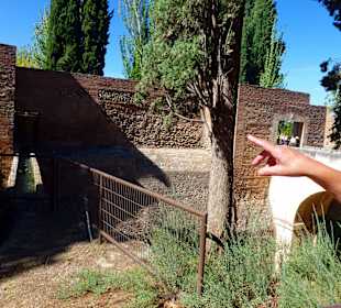 Alhambra / Granada / Sierra Nevada
