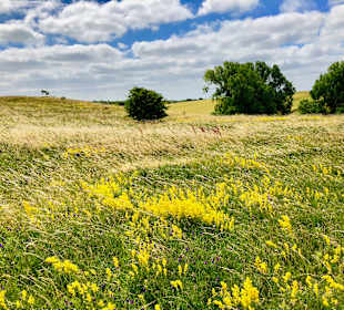 Wandern Sellin auf Rügen
