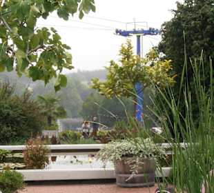 Rosenfest im Westfalenpark in Dortmund