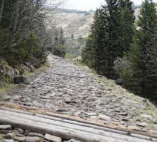 Berg Schneekoppe/Śnieżka