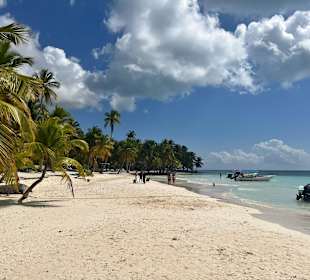 Saona 