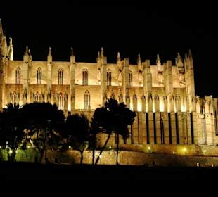 nochmal die Kathedrale bei Nacht 