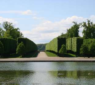 Top gepflegte und saubere Gärten