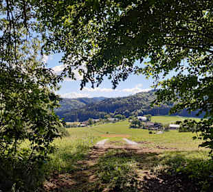 Wandern St. Georgen im Attergau