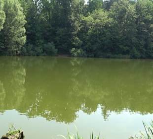 Rundwanderung Klingenbachtal - Sulzbachsee