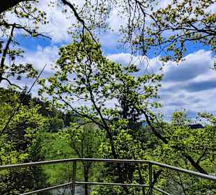 Wandern Geiersthal