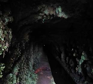Tunnel zur Levada da Rocha Vermelha