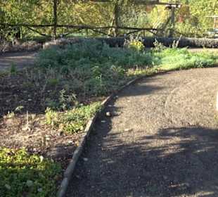 Botanischer Garten