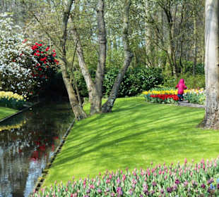 Blumenpracht im Keukenhof